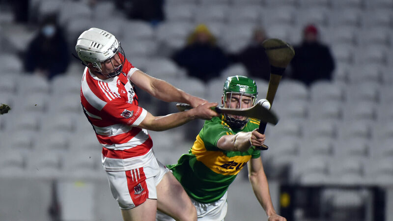 John Horgan: Courcey Rovers showed their passion for hurling yet again