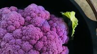 A Year of Flavour: A time to draw inward to the warmth of our home