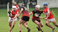 Path to the Harty Cup and Corn Uí Mhuirí finals are revealed