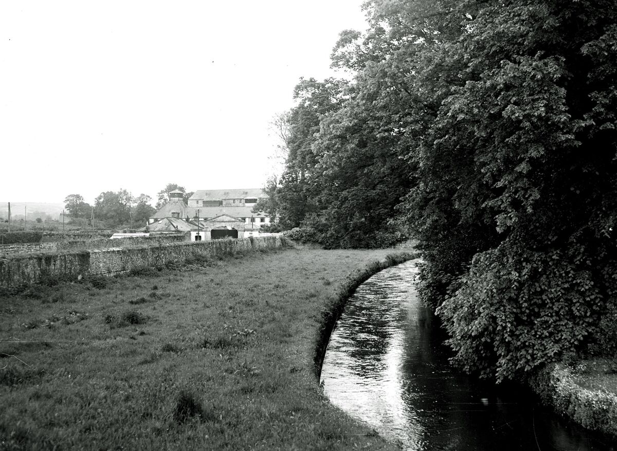 Midleton Distillery pictured in 1955. 