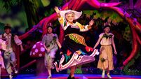 Future of Cork panto up in the air