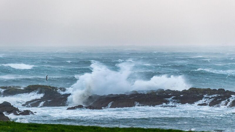 Storm Barra latest: 20 trees reported down, orange weather takes effect from 9pm