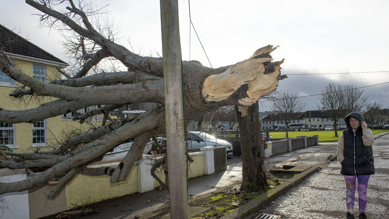 Fallen trees, overturned trucks and closed roads: Cleanup continues after Barra’s first night in Cork