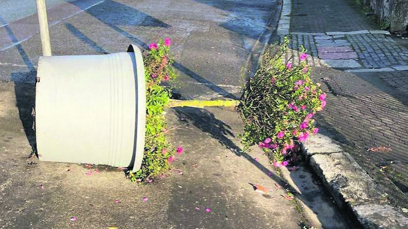 'An awful kick in the teeth' Cork Tidy Town group blasts vandalism 'An awful kick in the teeth' Cork Tidy Town group blasts vandalism