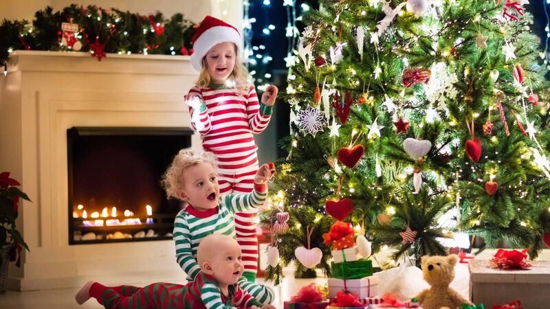 Ensure your Christmas tree lasts the festive season with these tips Ensure your Christmas tree lasts the festive season with these tips