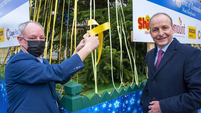 Taoiseach opens annual Rotary Tree of Remembrance in Cork