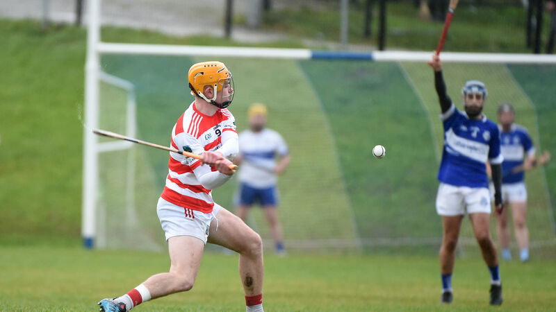 New Cork senior hurler Darragh Flynn helps Ballygiblin into Munster final New Cork senior hurler Darragh Flynn helps Ballygiblin into Munster final