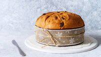 Panettone, typical christmas italian food, on rustic background.