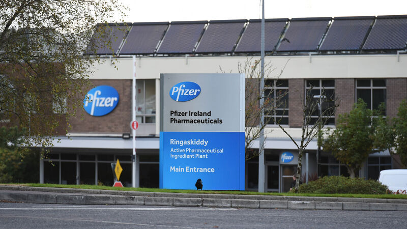 New Covid antiviral pill, being manufactured in Cork, could be available in new year New Covid antiviral pill, being manufactured in Cork, could be available in new year