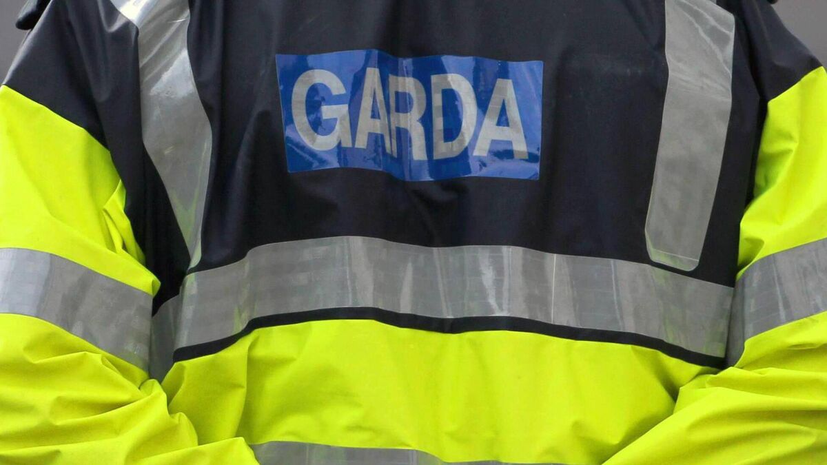 Gardaí to welcome 800 new recruits and 400 civilian staff in 2022
