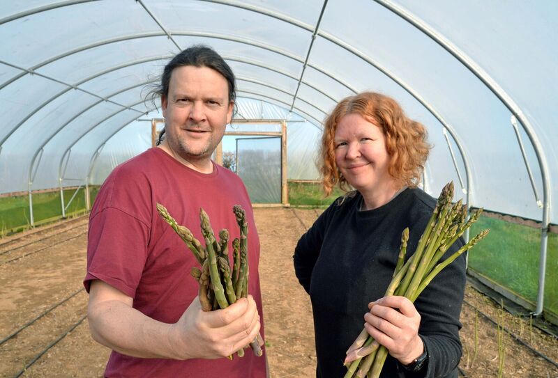 Ultan Walsh and Lucy Stewart on their farm at Nohoval, Co. Cork. Picture Denis Minihane. Ultan Walsh and Lucy Stewart on their farm at Nohoval, Co. Cork. Picture Denis Minihane.