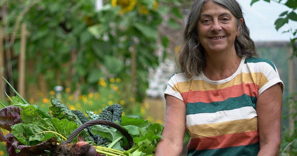 Cork-based grown, chef and cookery teacher offers  inspiration for Veganuary - Vimarsana News