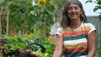 Cork-based chef and cookery teacher offers inspiration for Veganuary