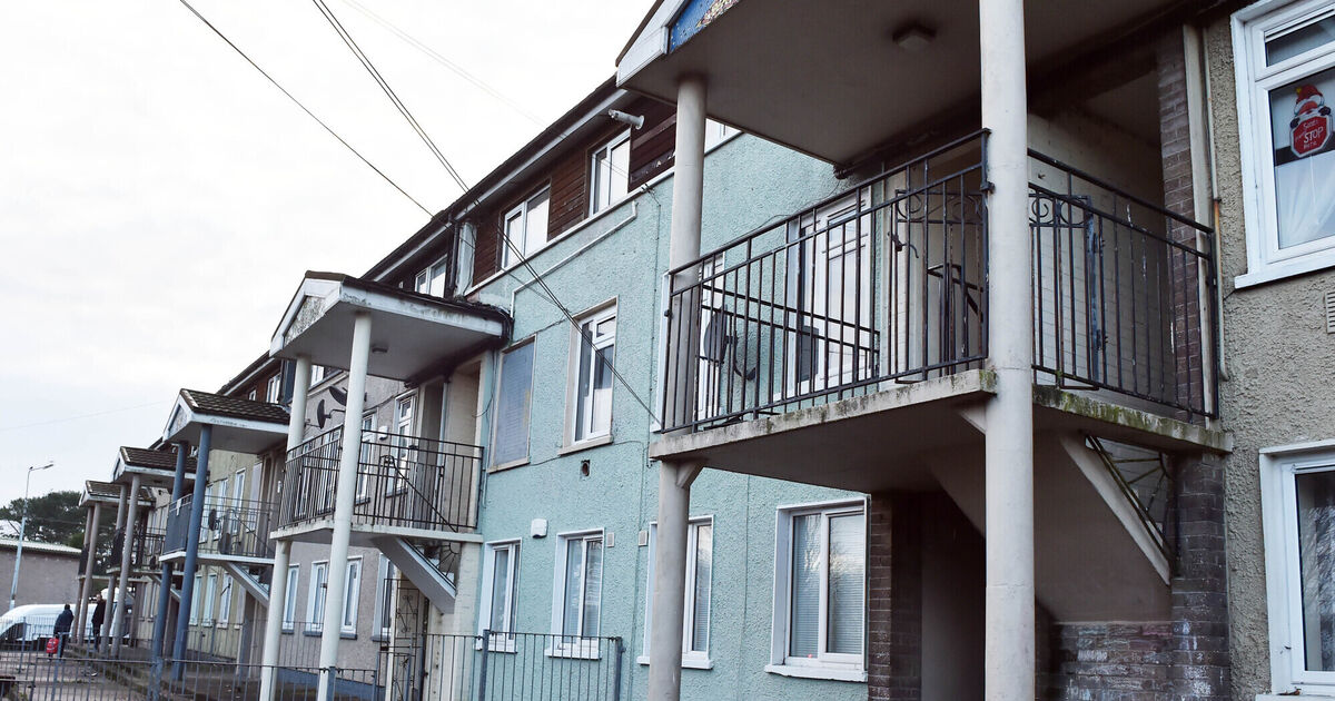 'Baker's Road flats need complete refurbishment': Concerns raised over pest control - Vimarsana News