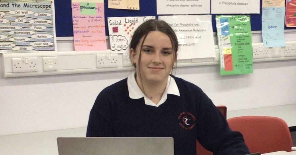 Cork student's BT Young Scientist project inspired by mum's cancer battle - Vimarsana News