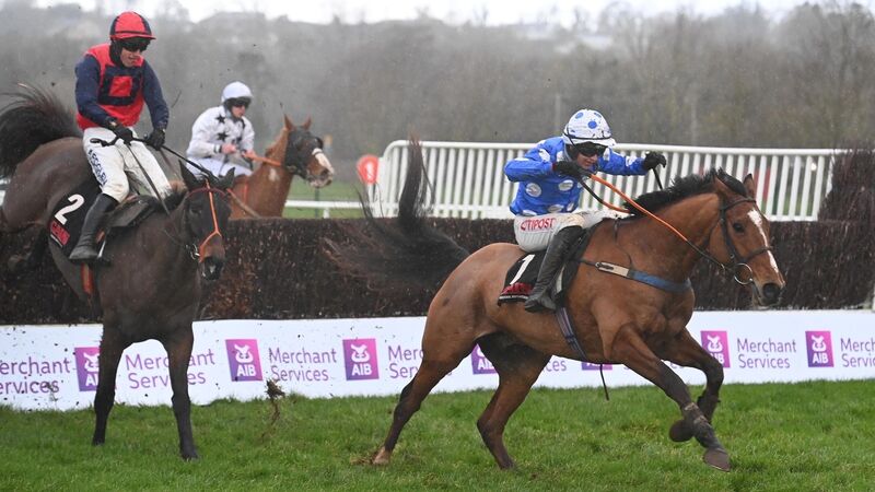 Cork Racecourse report: John Flavin’s Street Value among the local heroes to shine at Mallow