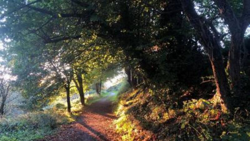 'We need a park ranger': Concerns about use of illegal scramblers in Cork city park 'We need a park ranger': Concerns about use of illegal scramblers in Cork city park