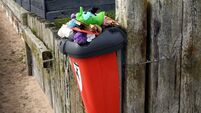Litter survey ‘bringing negativity’ to Cork communities: Calls for review of methods
