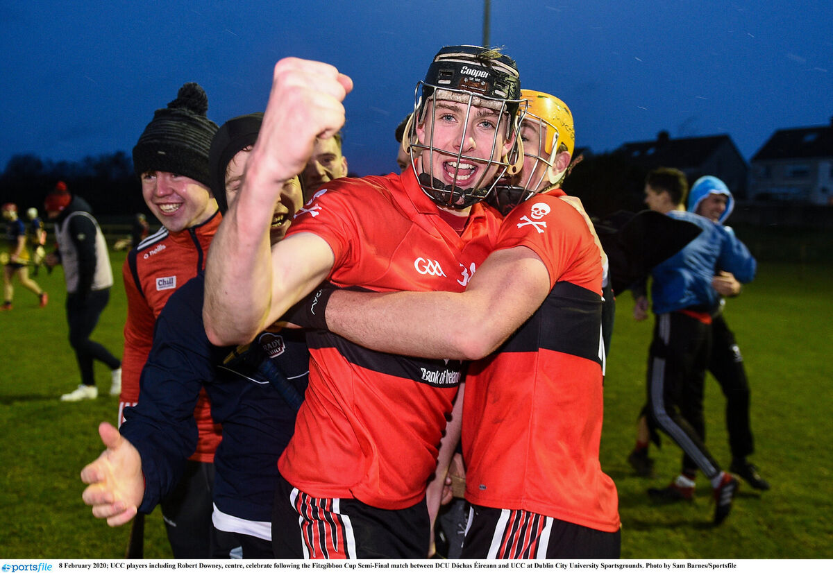 UCC's Robert Downey celebrates the Fitzgibbon Cup semi-final win in 2020. Picture: Sam Barnes/Sportsfile