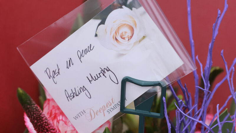 Man released in Ashling Murphy murder probe has had life 'ruined', says solicitor Man released in Ashling Murphy murder probe has had life 'ruined', says solicitor