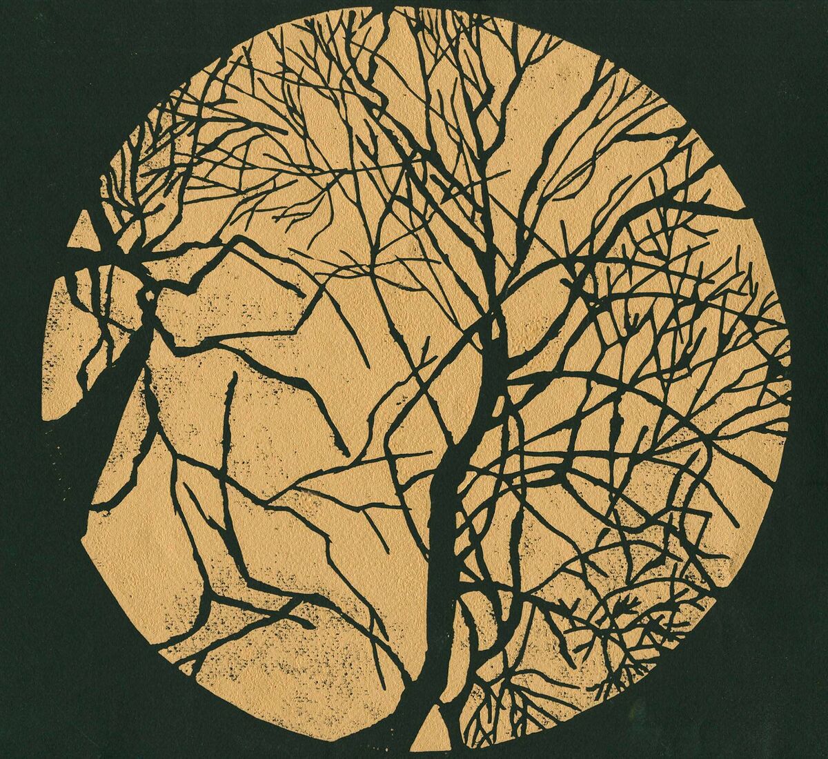 A prizewinning artwork by 10-year old Cork student Isabella Croce from Cloghroe National School, Blarney. A prizewinning artwork by 10-year old Cork student Isabella Croce from Cloghroe National School, Blarney.