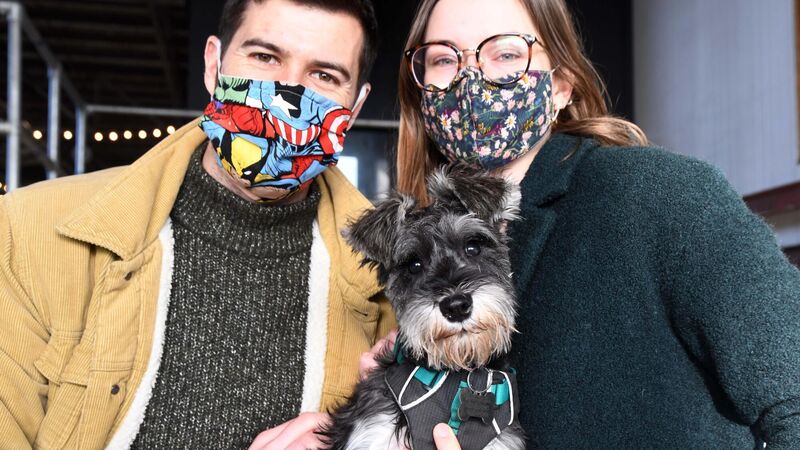 Pics: 'Doggie daycare' at the Marina Market a hit with Cork's animal lovers Pics: 'Doggie daycare' at the Marina Market a hit with Cork's animal lovers