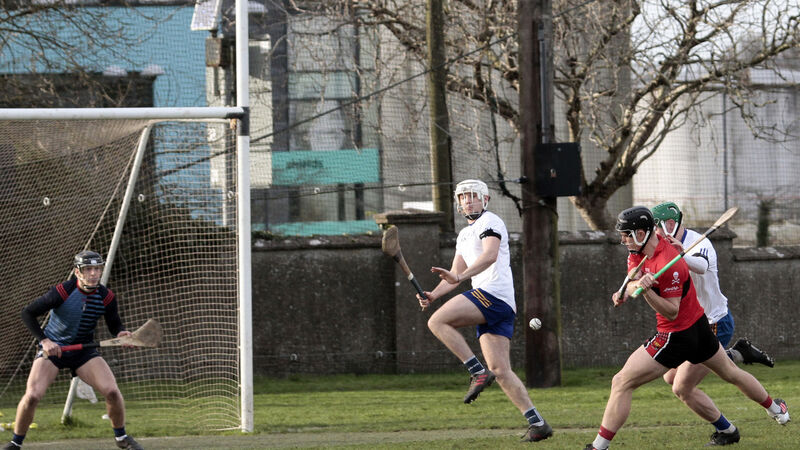 Good finish gives UCC victory over Mary I in Fitzgibbon Cup opener