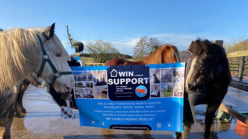 Charity call for raffle support to help tackle 'huge vet bills' Charity call for raffle support to help tackle 'huge vet bills'