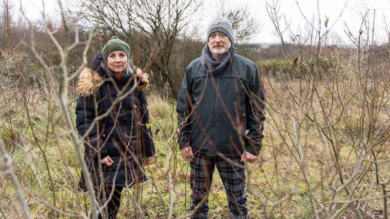 Artists, creatives and members of the public are invited to get involved in creative activities at Tramore Valley Park