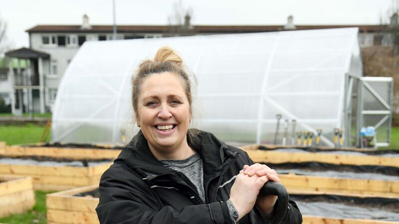 School children lend a hand at Togher community garden