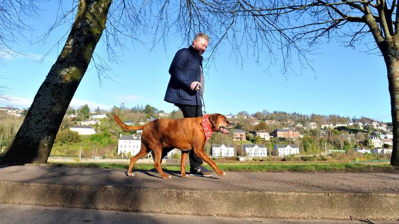 New ‘Dudes and Dogs’ walking group aims to boost mental health New ‘Dudes and Dogs’ walking group aims to boost mental health