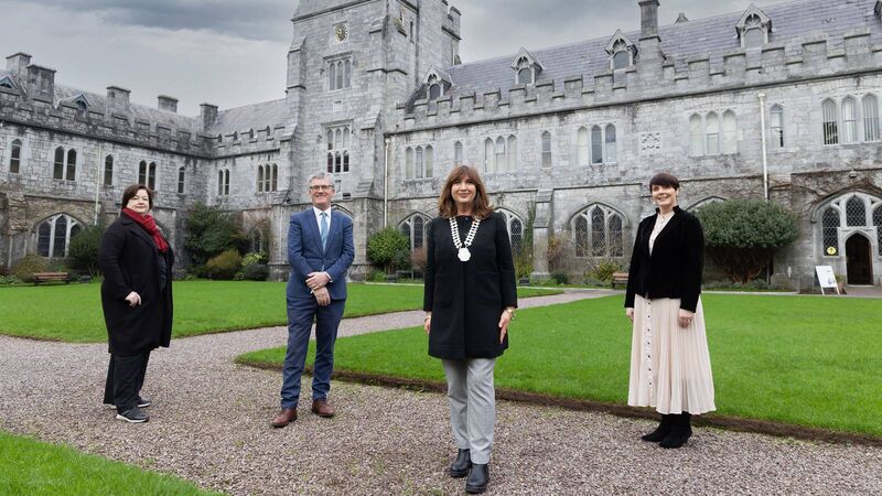 Network Ireland Cork branch February event to explore emotion and resilience in the workplace