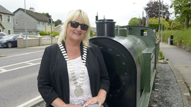 Hidden disabilities parking spots sought for schools in Cork Hidden disabilities parking spots sought for schools in Cork