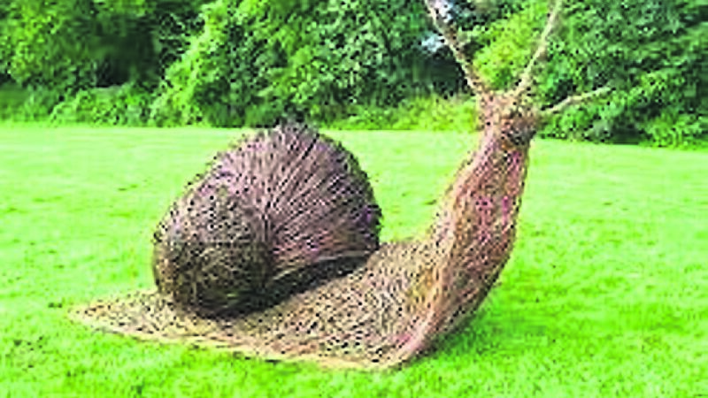 Willow talk... a great plant for winter gardens