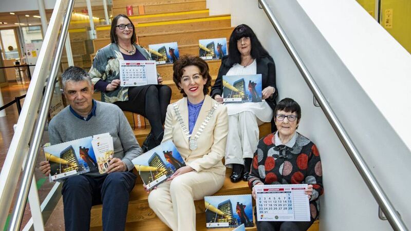 Older people encouraged to join special Cork council Older people encouraged to join special Cork council