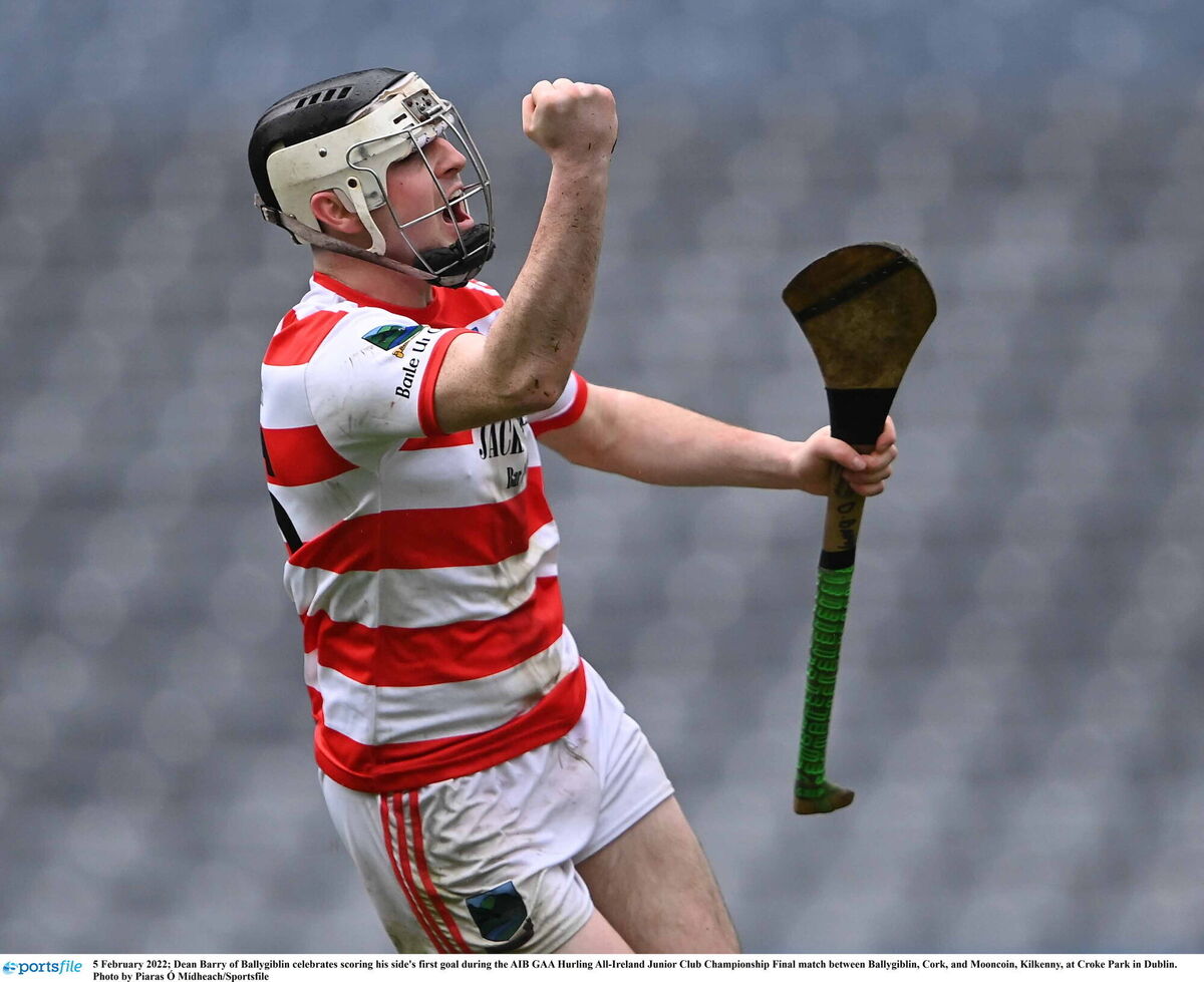 Dean Barry of Ballygiblin celebrates scoring his goal. Picture: Piaras Ó Mídheach/Sportsfile Dean Barry of Ballygiblin celebrates scoring his goal. Picture: Piaras Ó Mídheach/Sportsfile