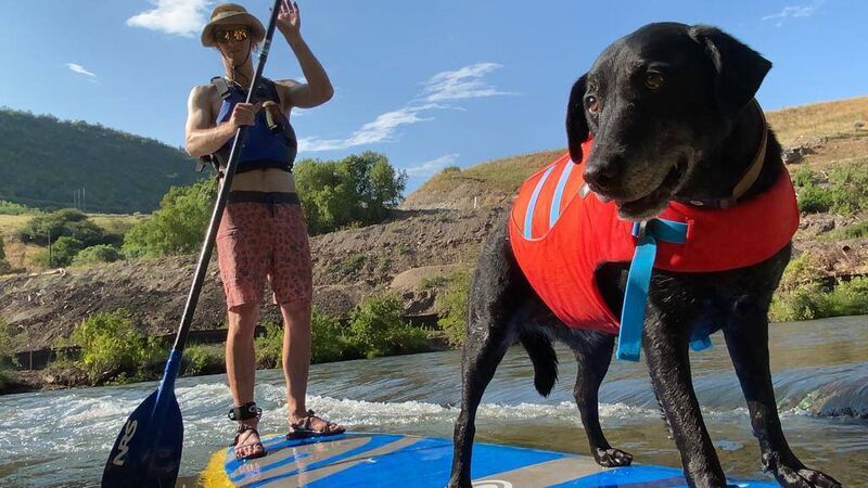 Brendan Newby with his dog Koda. Brendan Newby with his dog Koda.