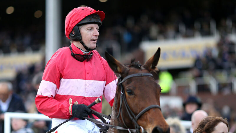 Jockey Noel Fehily enjoying new racing role ahead of Cheltenham Jockey Noel Fehily enjoying new racing role ahead of Cheltenham