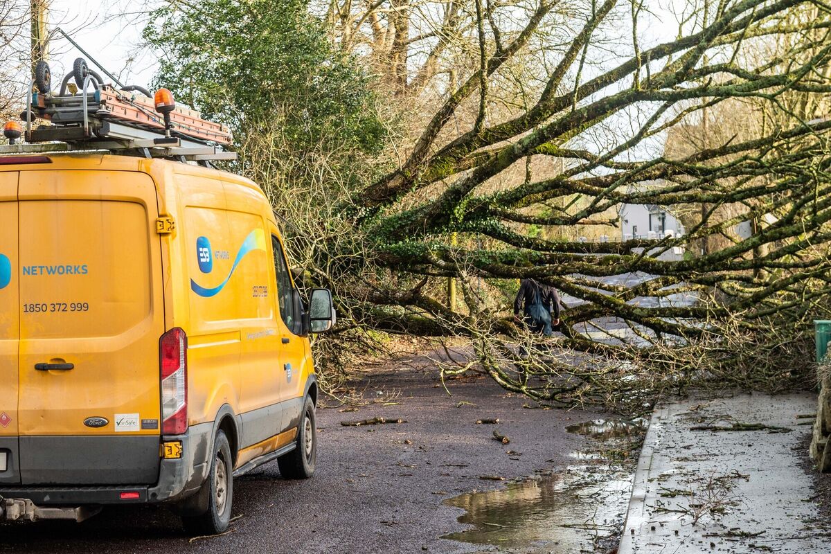 The ESB arrived at the scene of a fallen tree in Dunmanway earlier today to deal with fallen electric cables. Picture: Andy Gibson. The ESB arrived at the scene of a fallen tree in Dunmanway earlier today to deal with fallen electric cables. Picture: Andy Gibson.