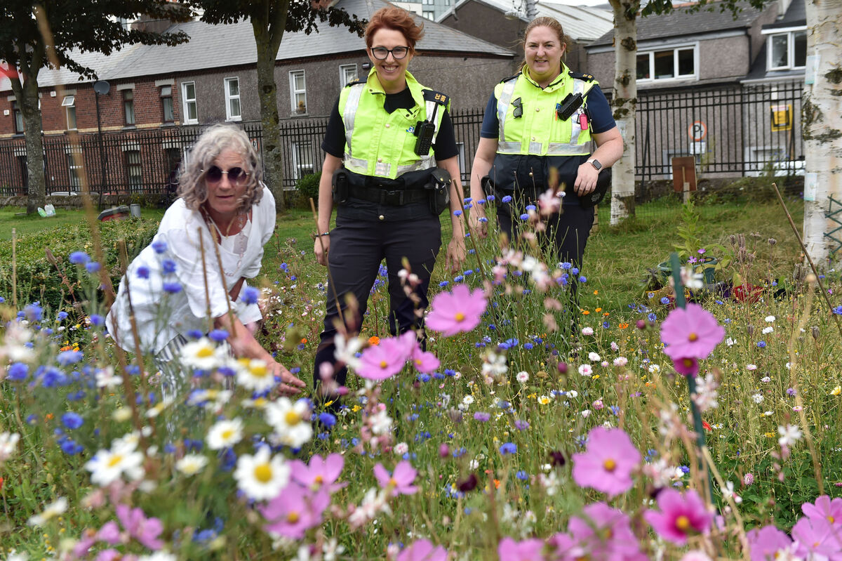 Everything is blooming amazing as Helen Phelan, Hibernian buildings, meets up with Community gardaí Marie O’Neill, and Kay Griffin in the wild garden at Shalom Park. Garda O’Neill says: ‘I’m very community-oriented, and I really feel that we can make a difference.’ Picture: Eddie O’Hare
Everything is blooming amazing as Helen Phelan, Hibernian buildings, meets up with Community gardaí Marie O’Neill, and Kay Griffin in the wild garden at Shalom Park. Garda O’Neill says: ‘I’m very community-oriented, and I really feel that we can make a difference.’ Picture: Eddie O’Hare