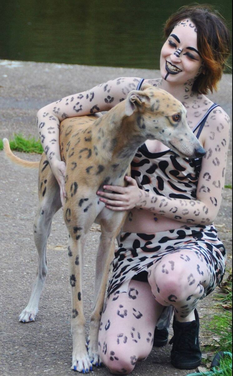 Zoë-Louise Doyle found Robert at a greyhound rescue centre in Kerry. Zoë-Louise Doyle found Robert at a greyhound rescue centre in Kerry.