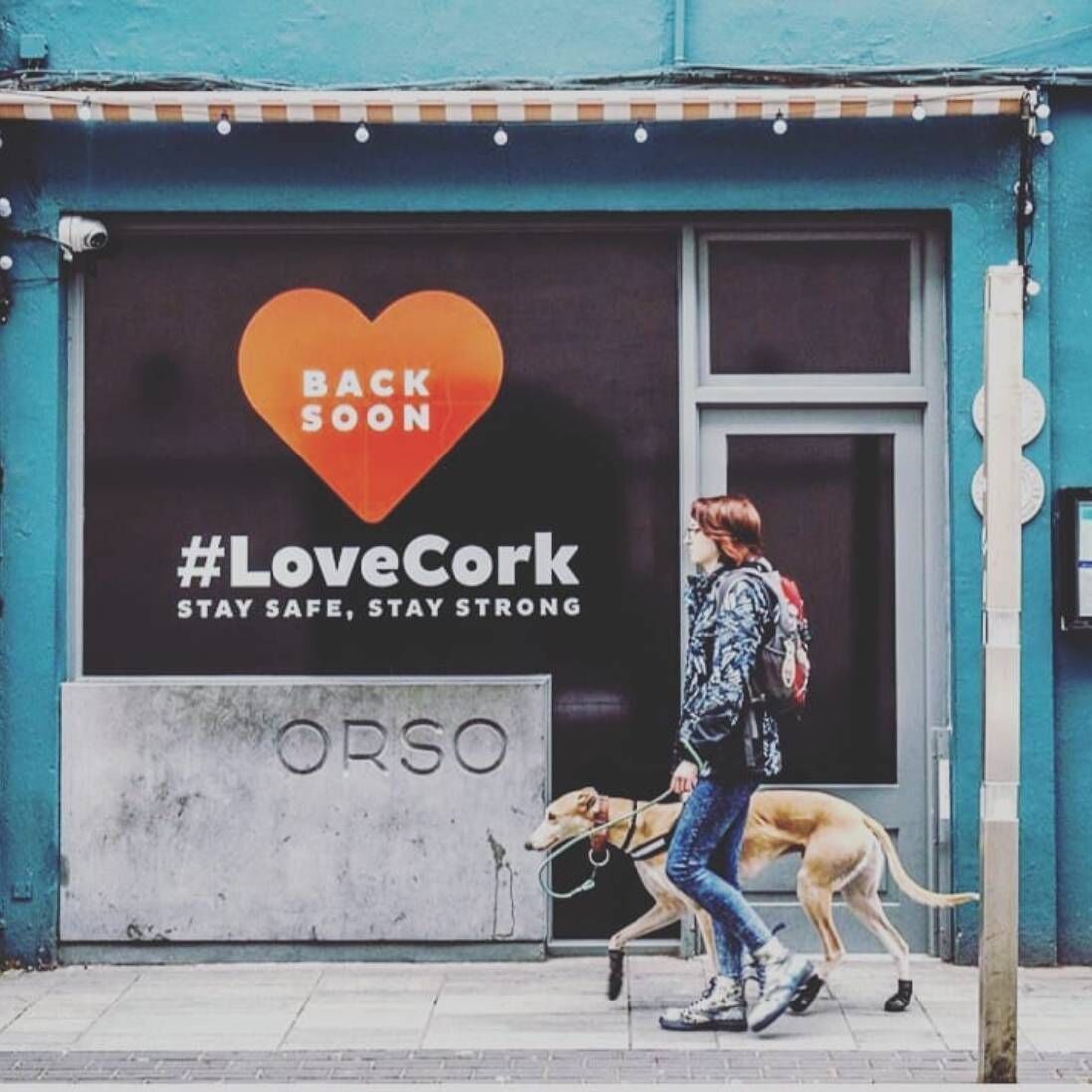 Zoe says having a dog is very social, as so many people stop to chat when they are out and about. Zoe says having a dog is very social, as so many people stop to chat when they are out and about.