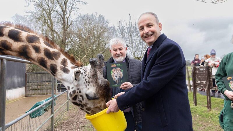 Fota Wildlife Park launches multi-million euro 10-year development plan