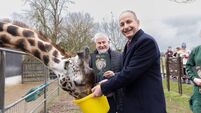 Fota Wildlife Park launches multi-million euro 10-year development plan