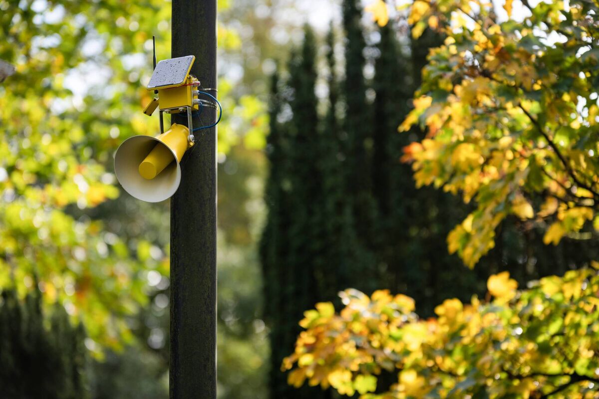 COLLABORATIONS: This image depicts the work of Adam Gibney, whose project comprised of a series of 3D printed solar powered loudspeakers arranged in a network throughout Cork city. The work was part of GRAFT by the National Sculpture Factory and Glucksman Gallery. Picture: Jed Niezgoda