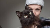My Pet and Me: Cats are misunderstood