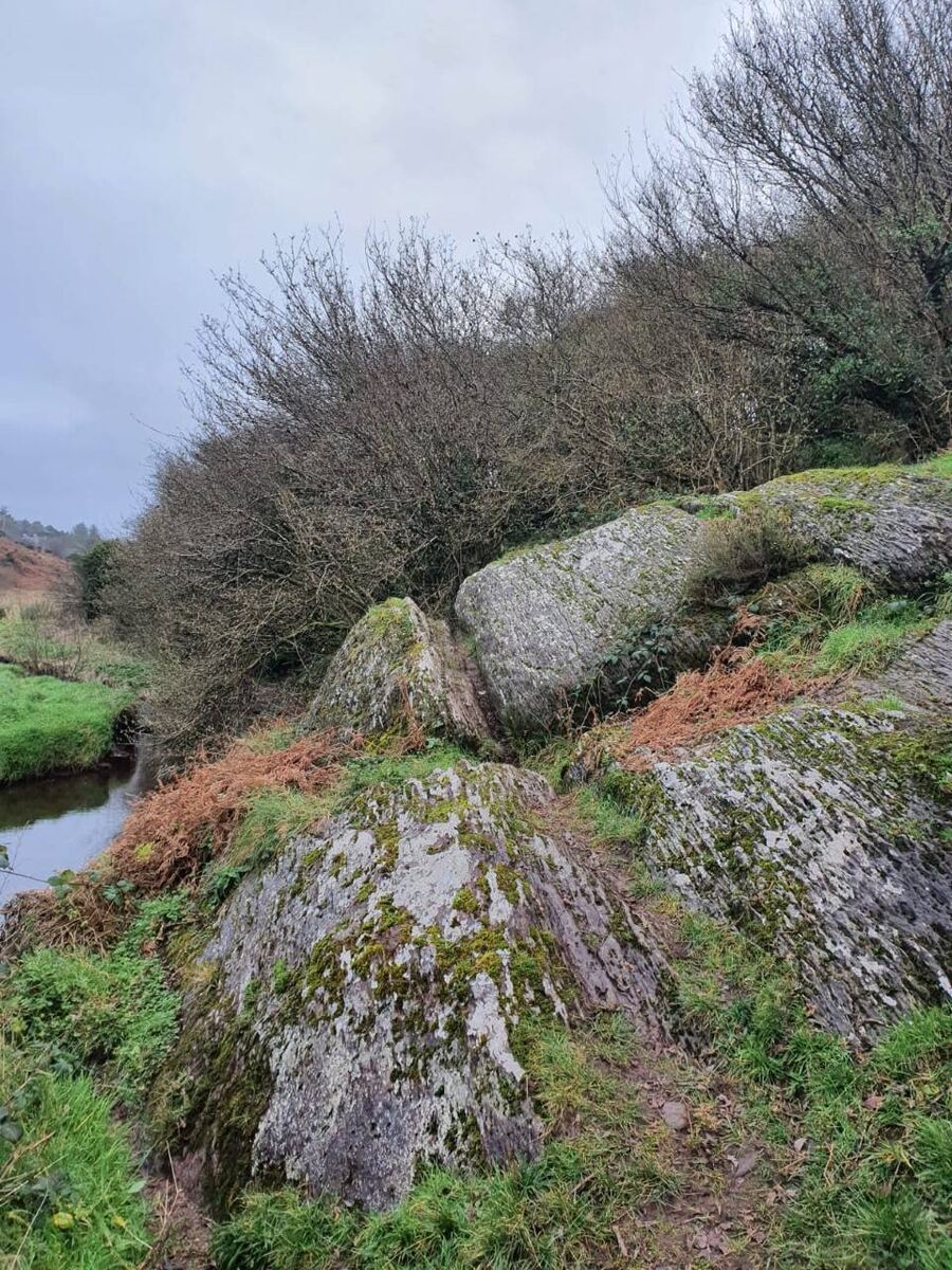 Locals say Murphy's Rock is an area of outstanding beauty and environmental importance which needs to be preserved for future generations. Locals say Murphy's Rock is an area of outstanding beauty and environmental importance which needs to be preserved for future generations.