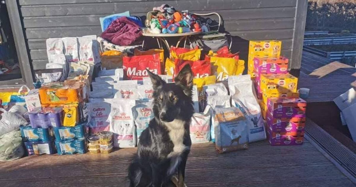 Cork volunteer group seeking donations of pet food for Ukraine