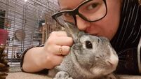 Cork woman: My rescue rabbits are my 'adventure' as I deal with chronic health conditions