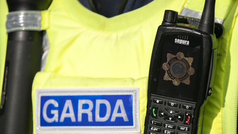 Man accused of assaulting garda said 'I will rip the eye out of your head', court told 